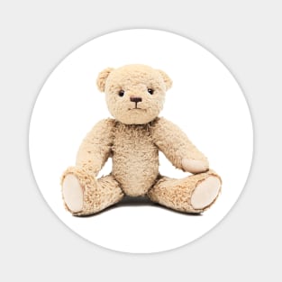 Plush Toy Teddy Bear Magnet